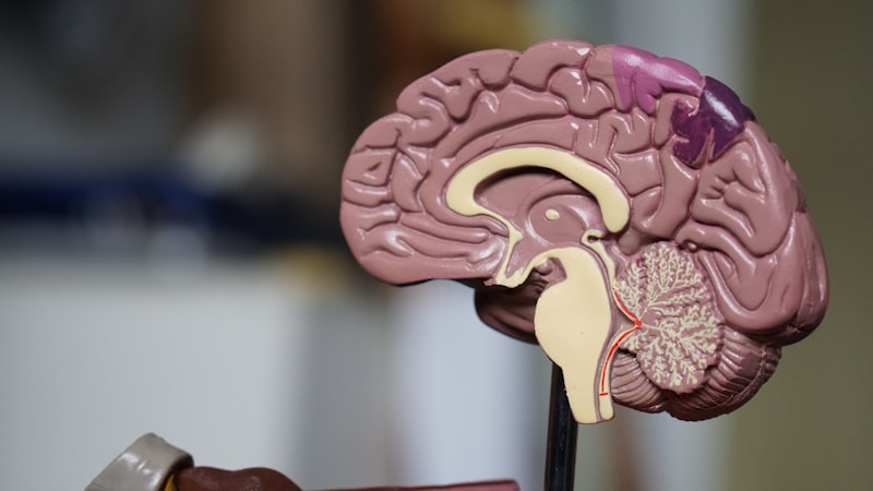 Mental health research